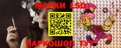 прущие грибы Новокубанск