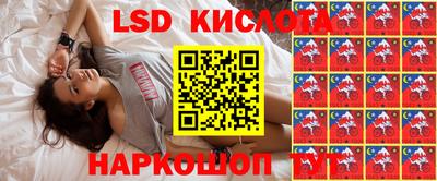 прущие грибы Новокубанск