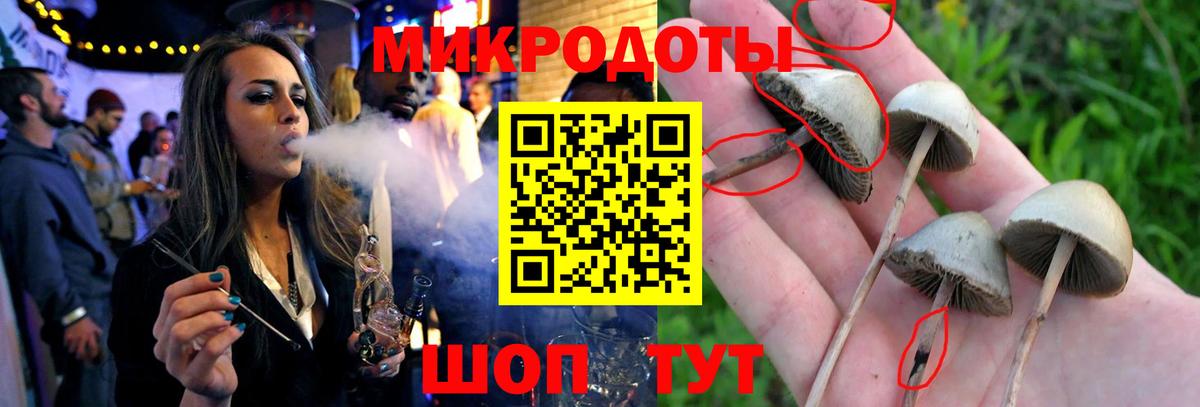 Псилоцибиновые грибы GOLDEN TEACHER Саранск